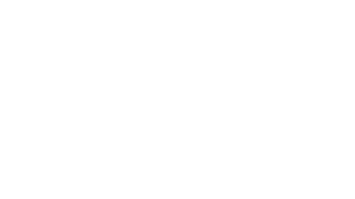 Intellect Guard